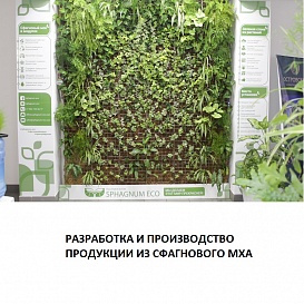 Разработка и производство продукции из сфагнового мха