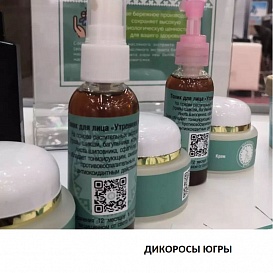 Дикоросы Югры